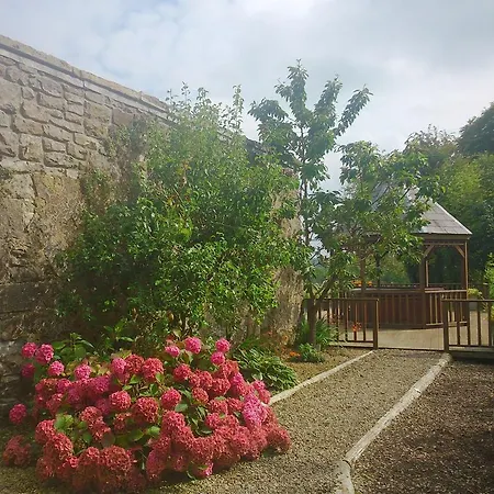 カントリーハウス The Old Rectory Country House バリーナモア