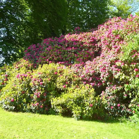 Country house The Old Rectory
